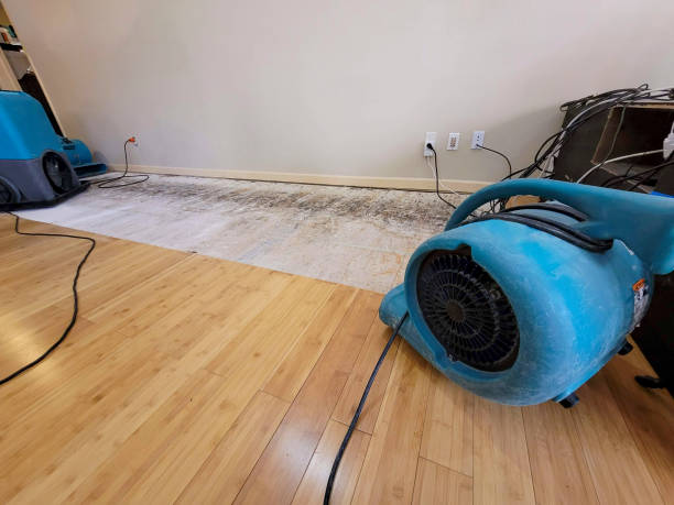 Professional Sewage Cleanup technician working in Scribner, NE
